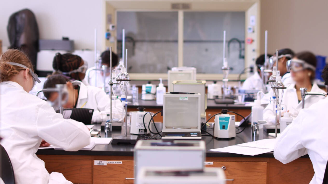 Participants in the Molecular Minds camp